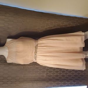 Adrianna Papell pink evening gown with sequin belt, 18